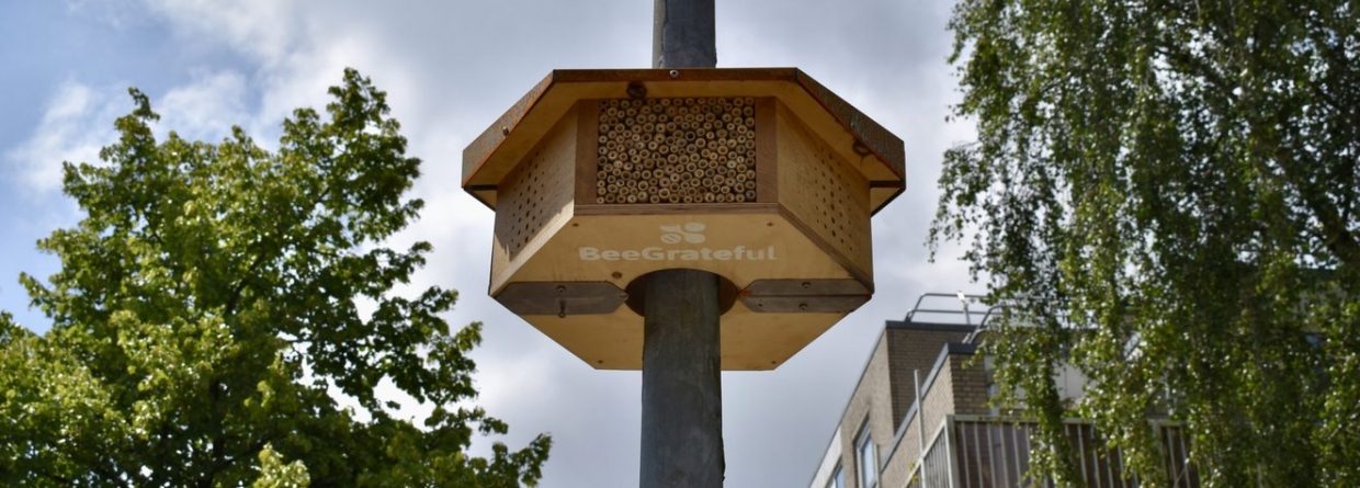 Bijenhotel